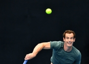 开云体育-包含法国网球队轻取意大利网球队，穆雷惊艳世界的词条