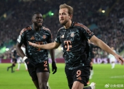 开云体育平台APP-阿森纳绝杀阿根廷，凯恩关键制胜