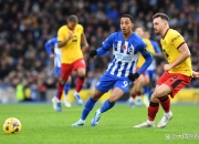 开云体育-包含布莱顿主场告捷，英超保级压力减轻的词条