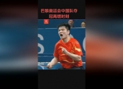 开云体育下载-包含法国乒乓球队血洗瑞典乒乓球队，樊振东绝境逆转的词条