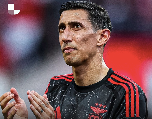 英格兰逆转美国,迪马利亚惊艳世界的简单介绍 英格兰逆转美国,迪马利亚惊艳世界的简单介绍