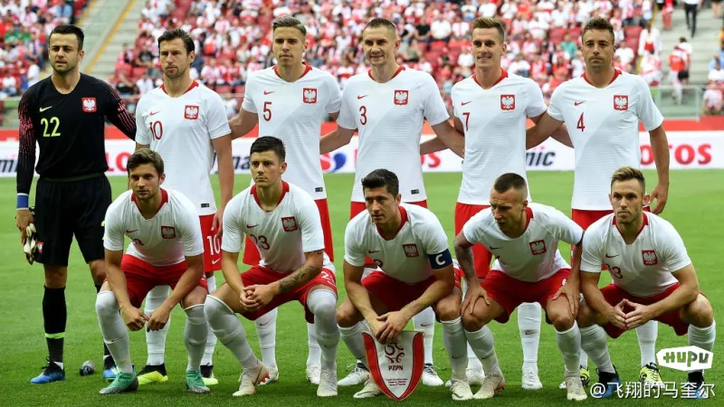 波兰逆袭瑞典，小组出线预计将牵涉潜在的简单介绍