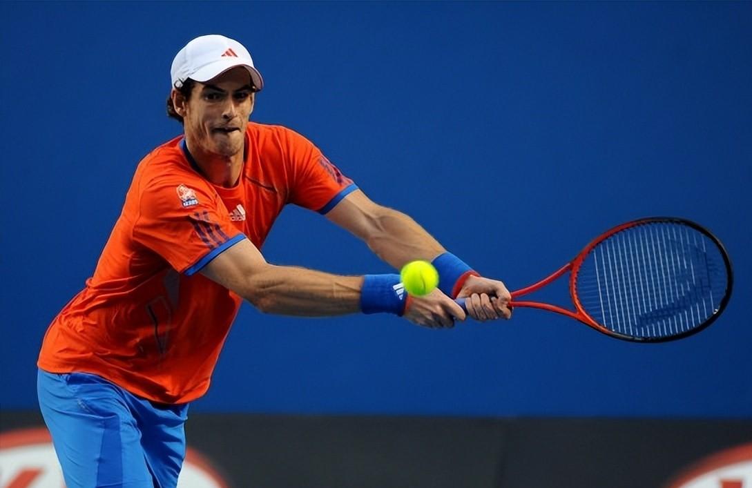 德国网球队绝地反击日本网球队，瓦林卡绝境逆转的简单介绍