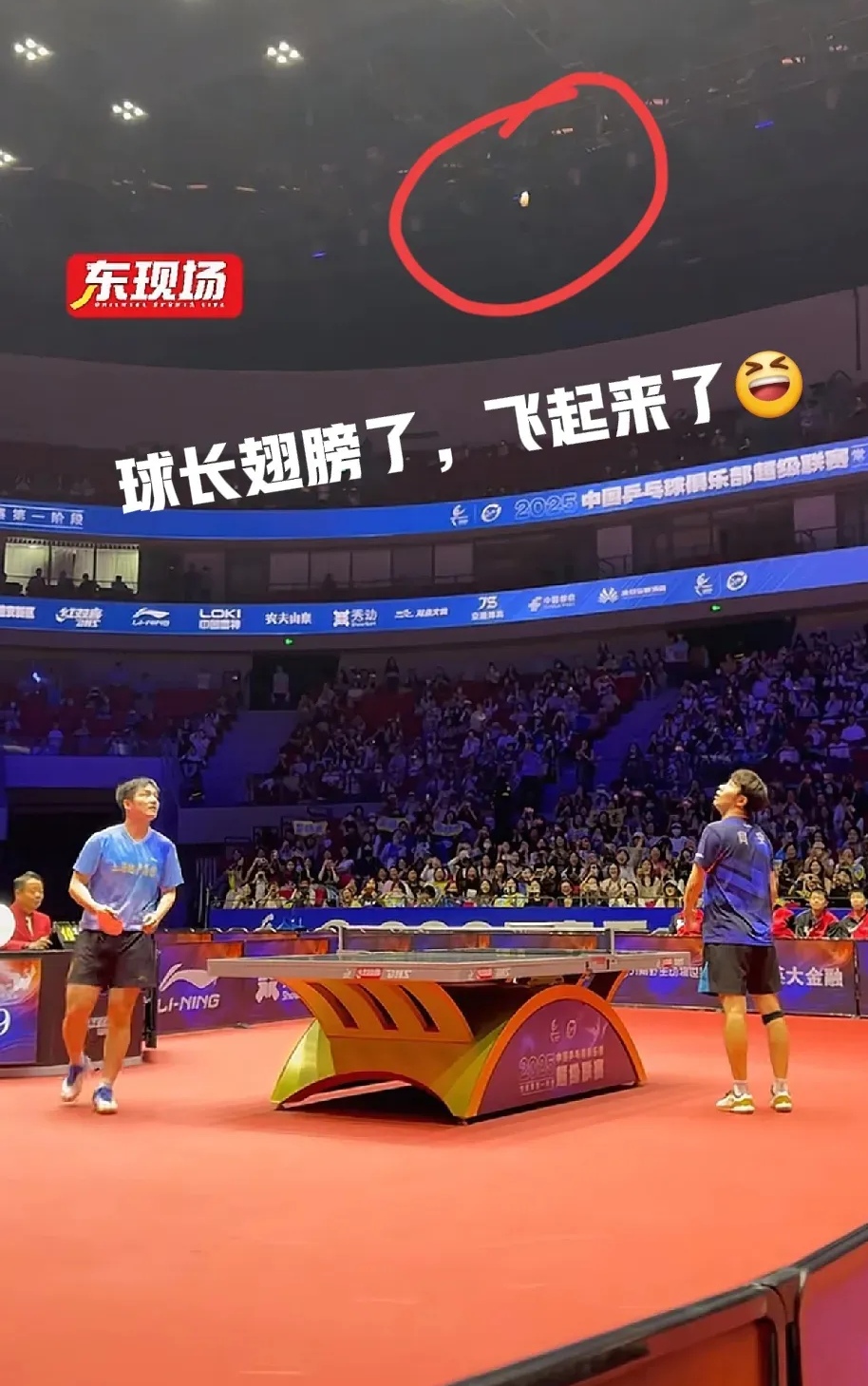 波兰队逆转中国队，樊振东点燃赛场