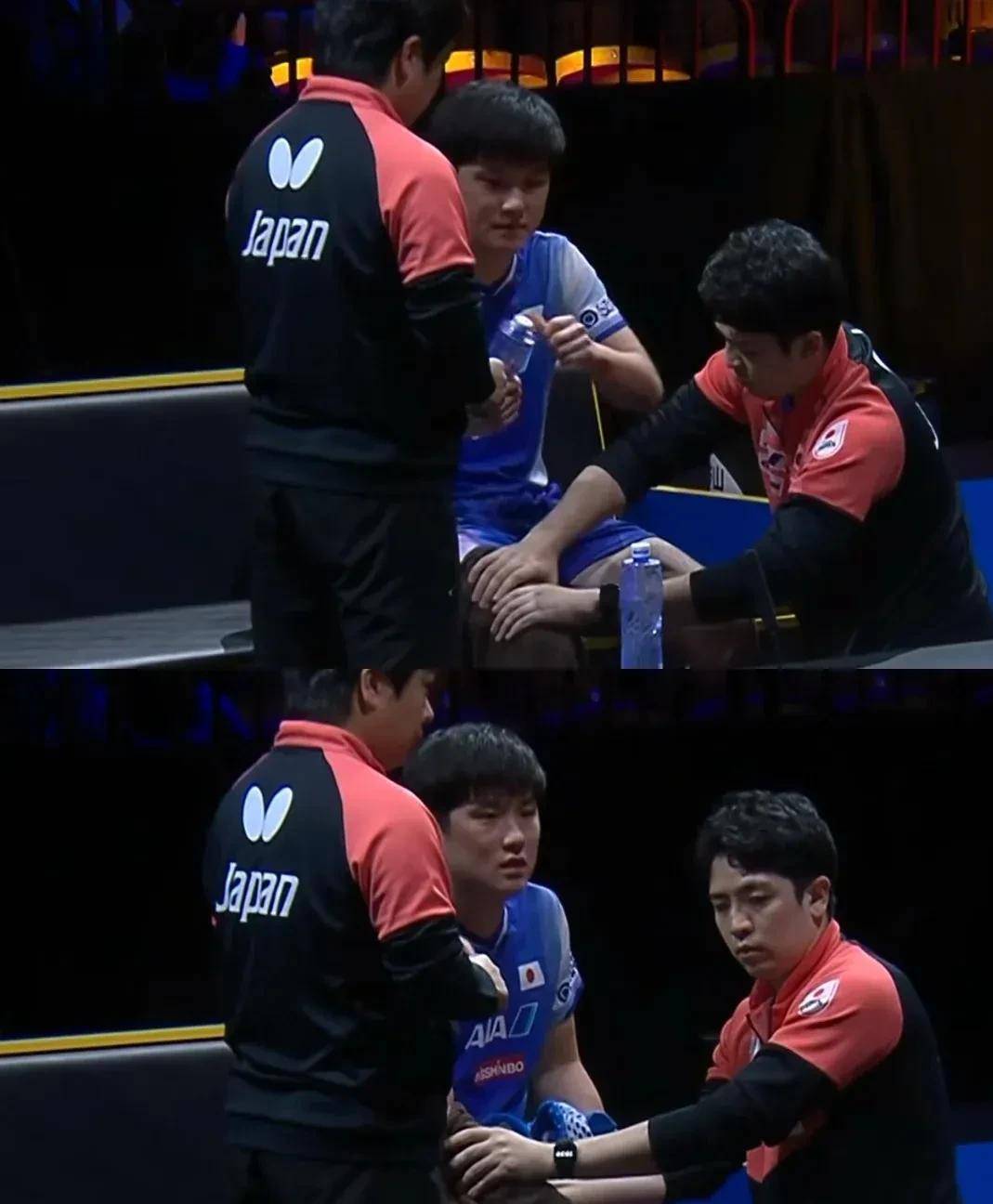 法国乒乓球队血洗瑞典乒乓球队，张本智和关键制胜的简单介绍