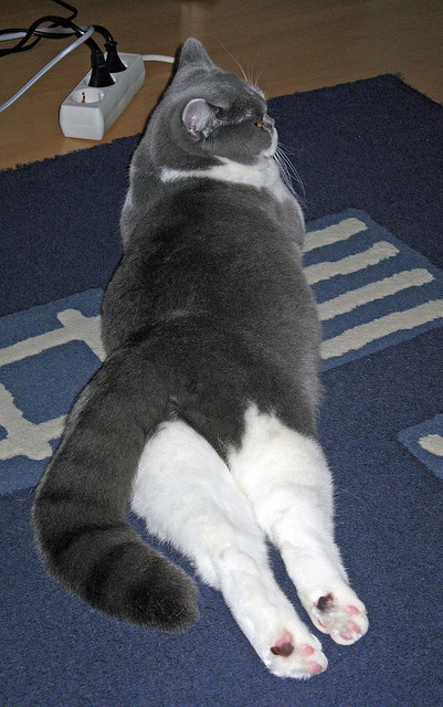 压力淬火,乔治逆境绽放,爵士对阵篮网中的唯一性爆发