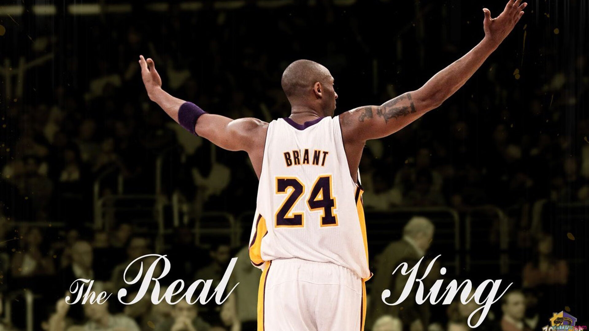 哈利伯顿雷霆万钧，单节风暴一手掌控比赛走势